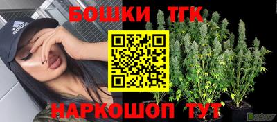 молекула духа Владикавказ
